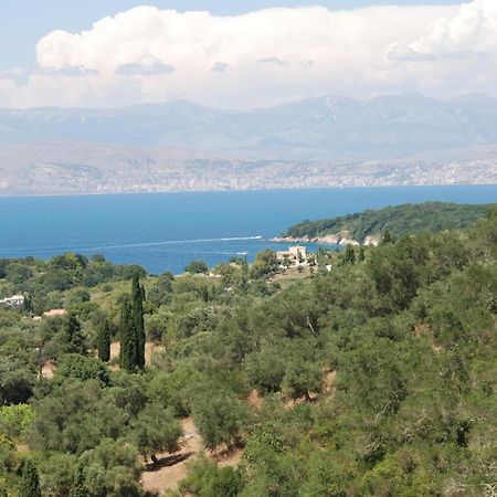 Odyssey Villas Kassiopi Rum bild